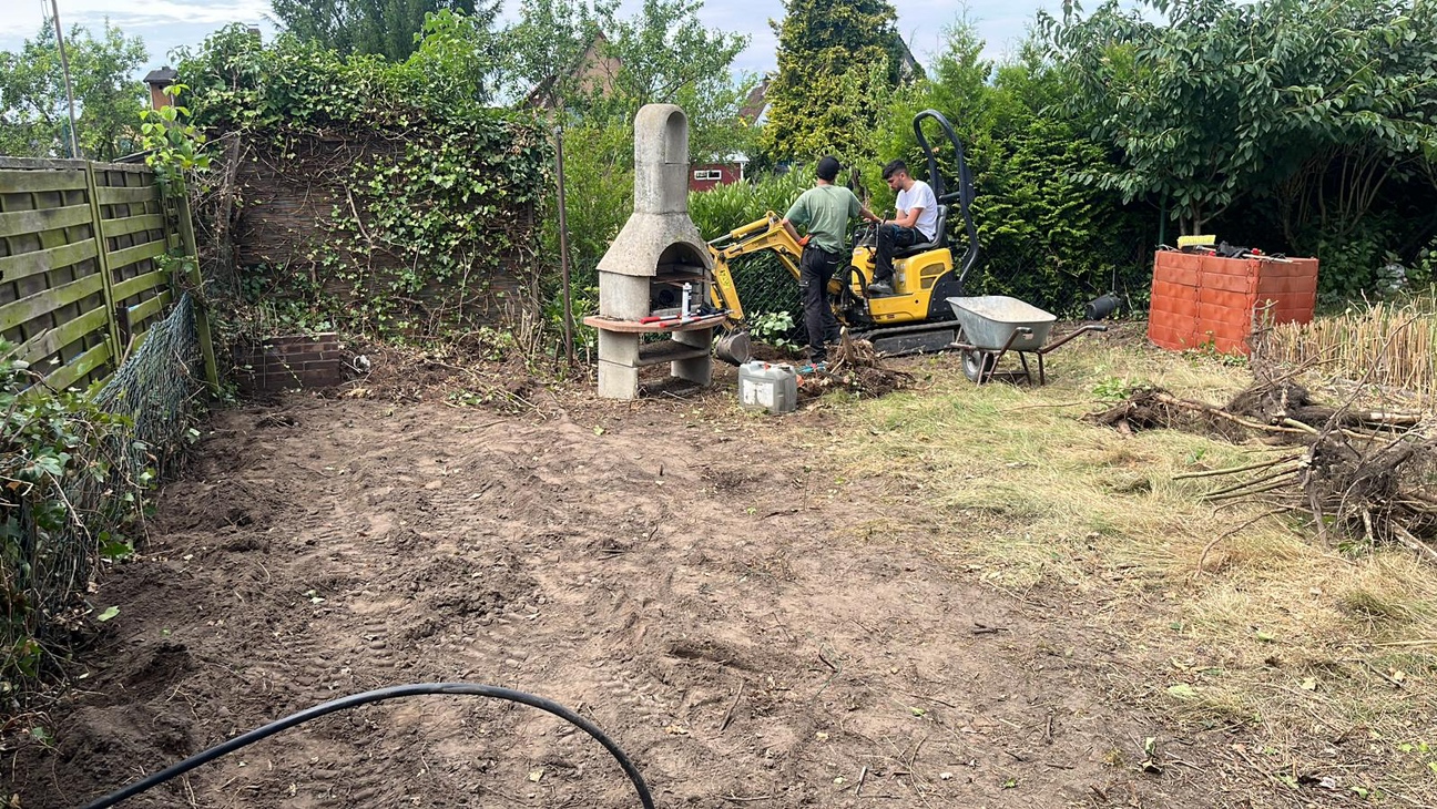 Hecke entfernt Hecke entfernt