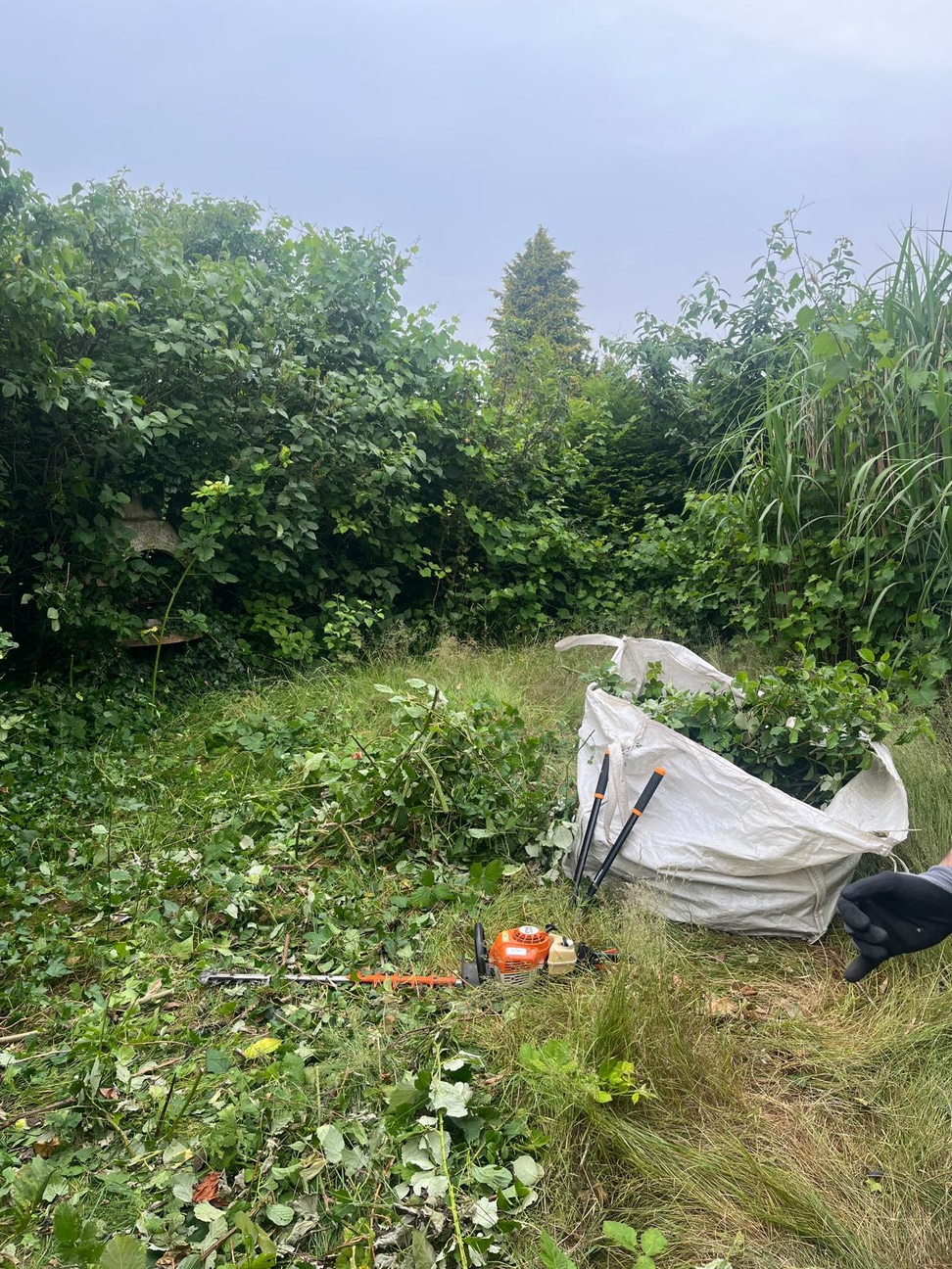 Entfernung Unkraut und Rückschnitt Hecke Entfernung Unkraut und Rückschnitt Hecke