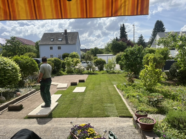 Boden gedüngt und Rollrasen verlegt Rollrasen legen