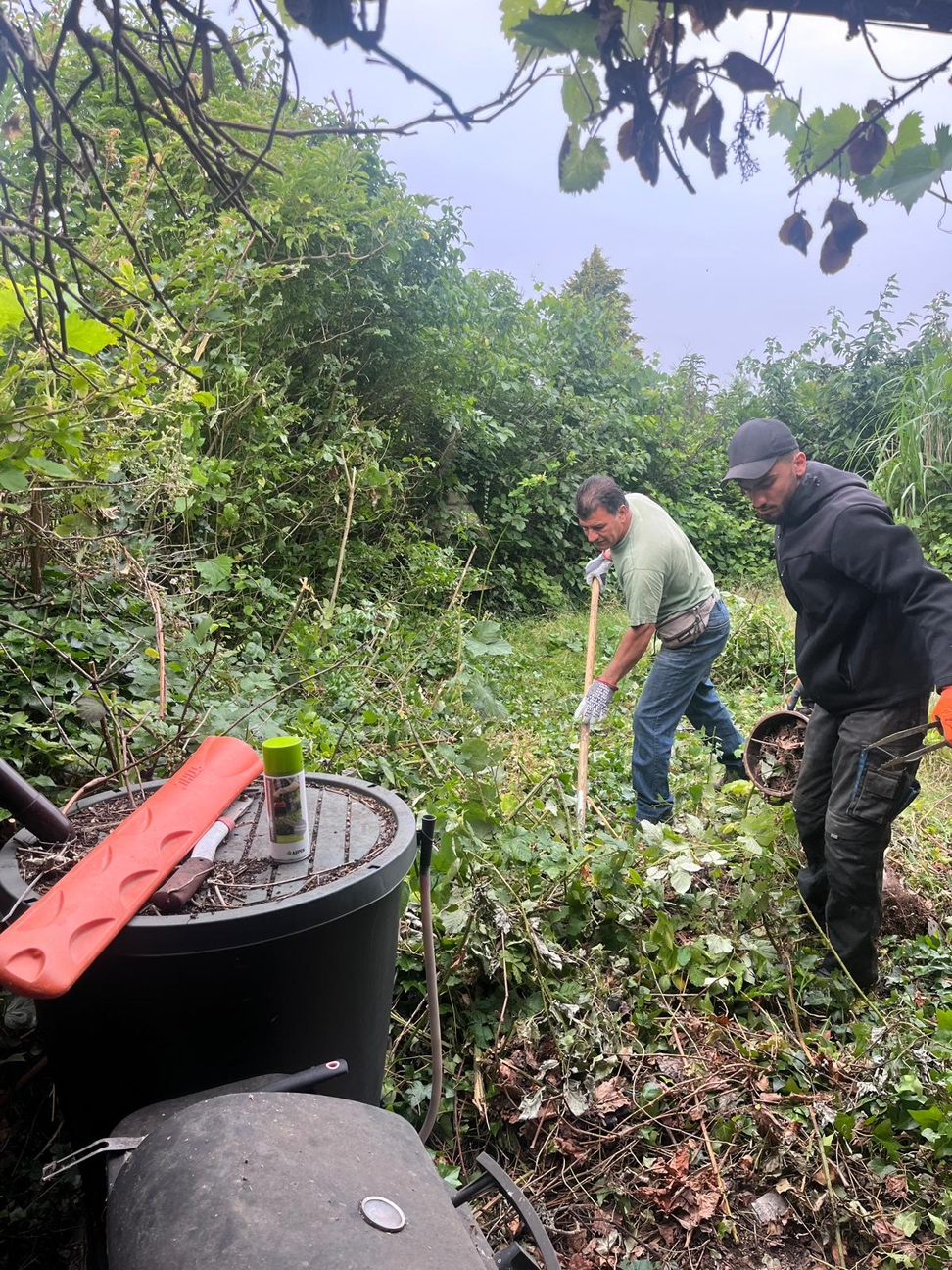 Entfernung Unkraut und Rückschnitt Hecke Entfernung Unkraut und Rückschnitt Hecke