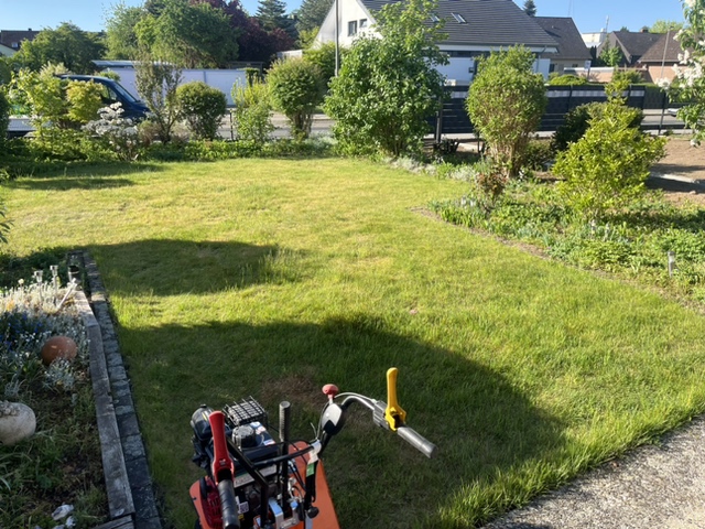 alte Rasenfläche Rasenfläche