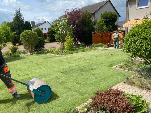 Zuletzt nochmal die Fläche gewalzt Walzen des Bodens