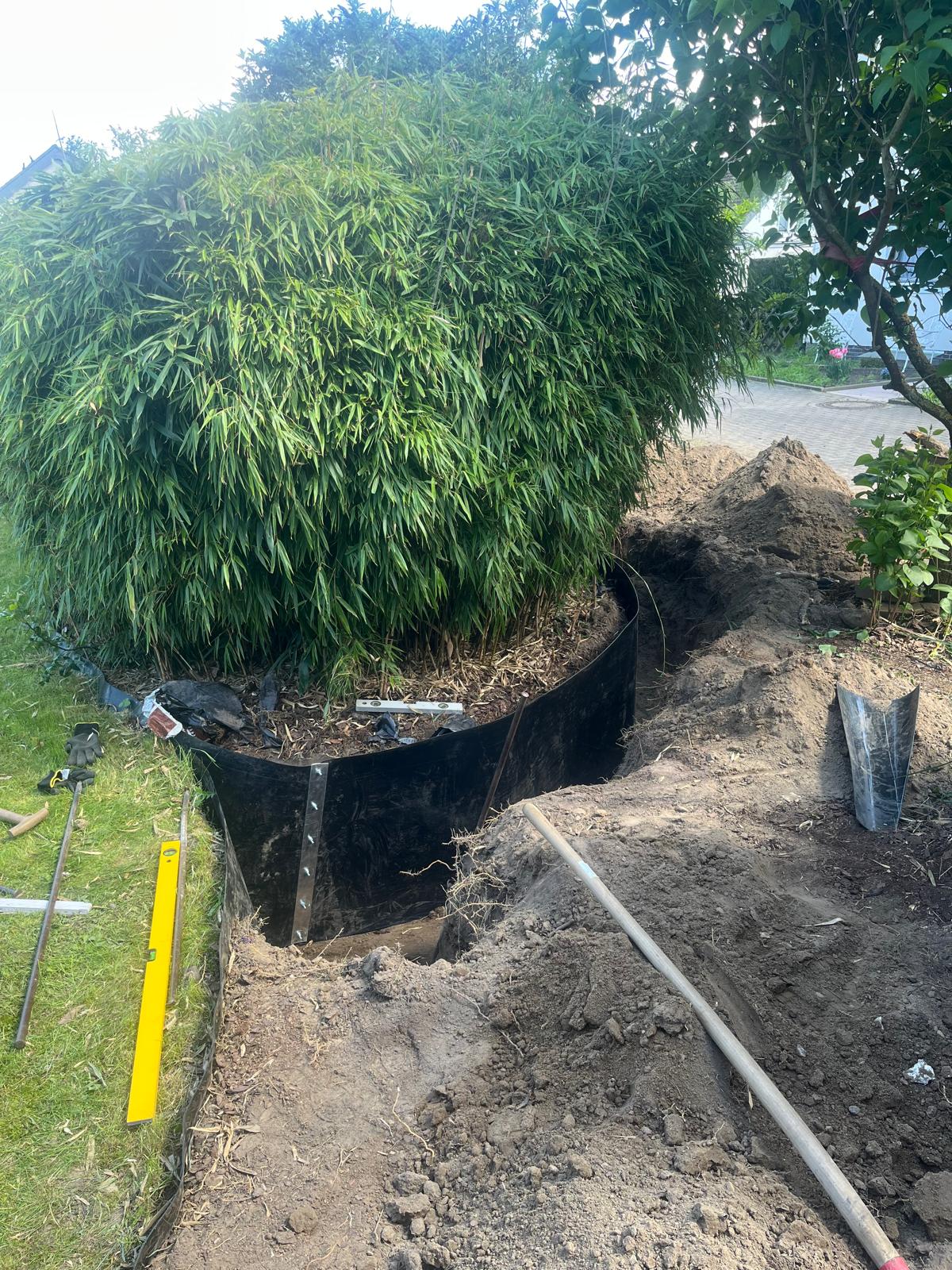 Bambussperre verbaut Beet Bambus